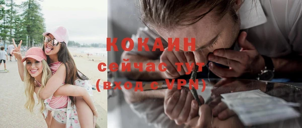 крисы Вязьма