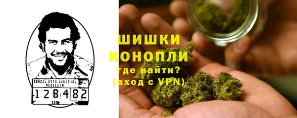 крисы Вязьма