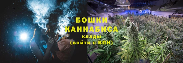 крисы Вязьма