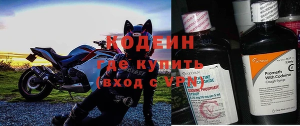 крисы Вязьма