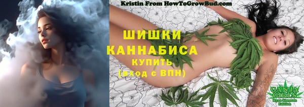 бошки Горняк