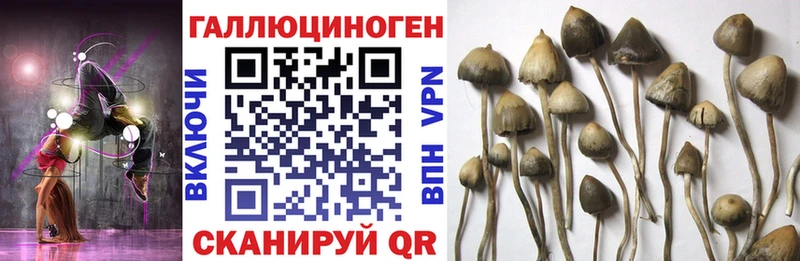 Галлюциногенные грибы прущие грибы  Заозёрск 